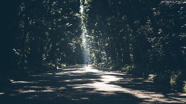 alone-1031338_640.jpg